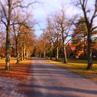 Bild: Dorfstraße, Nemitz