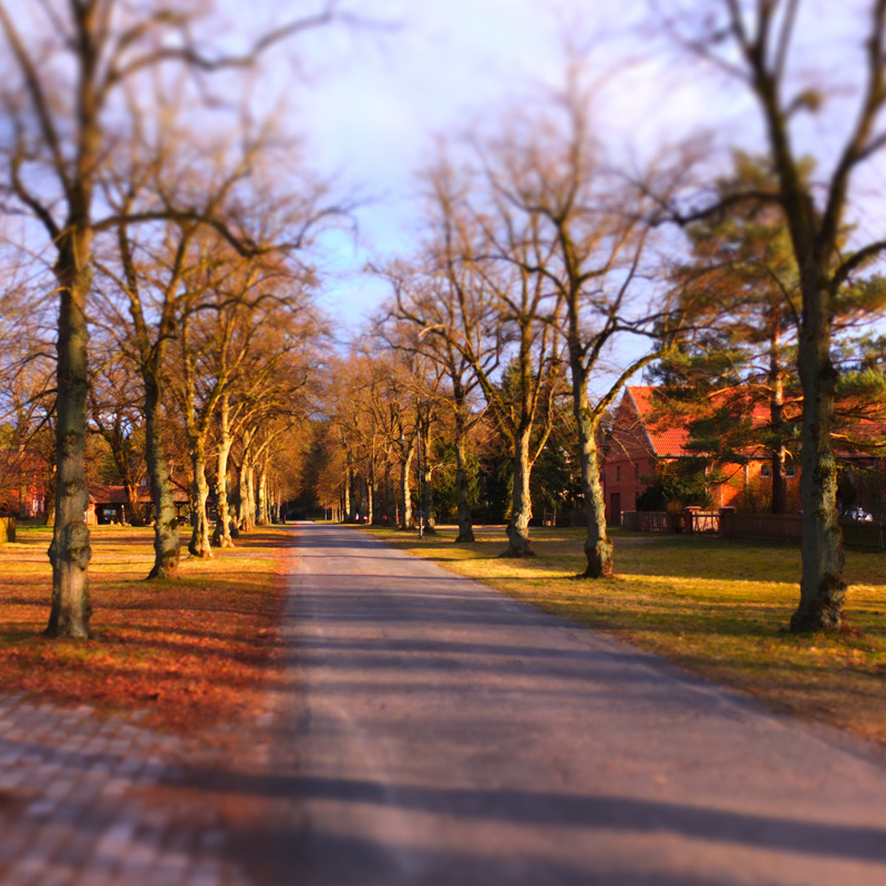 Bild: Dorfstraße, Nemitz
