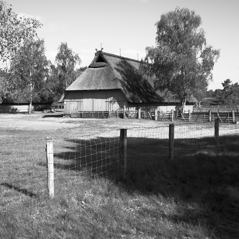 Bild: Schafstall in der Nemitzer Heide