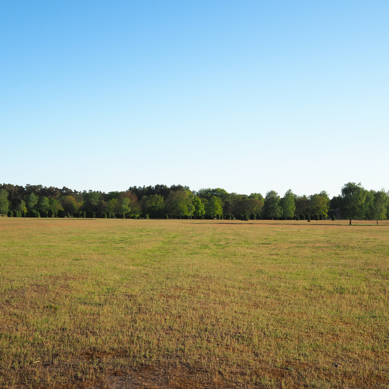 Bild: Waldrand bei Nemitz