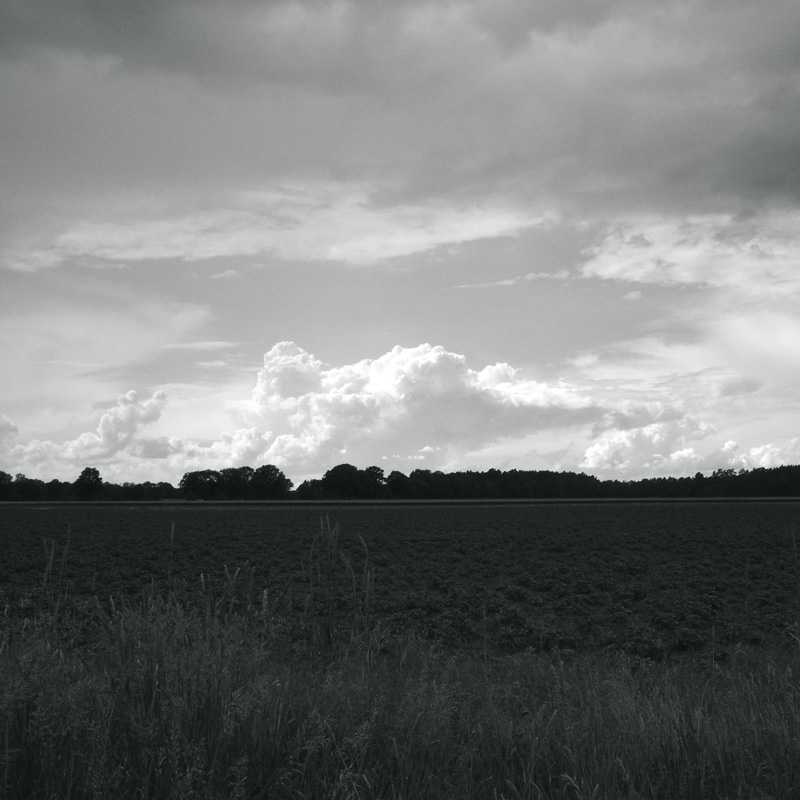 Bild: Feld, Wald und Wolken bei Lüchow (Wendland)