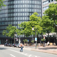 Bild: Straßenbäume vor dem RWE-Tower, Dortmund