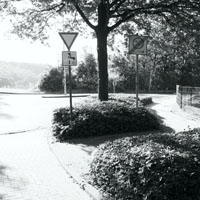 Bild: Schilder(wald)