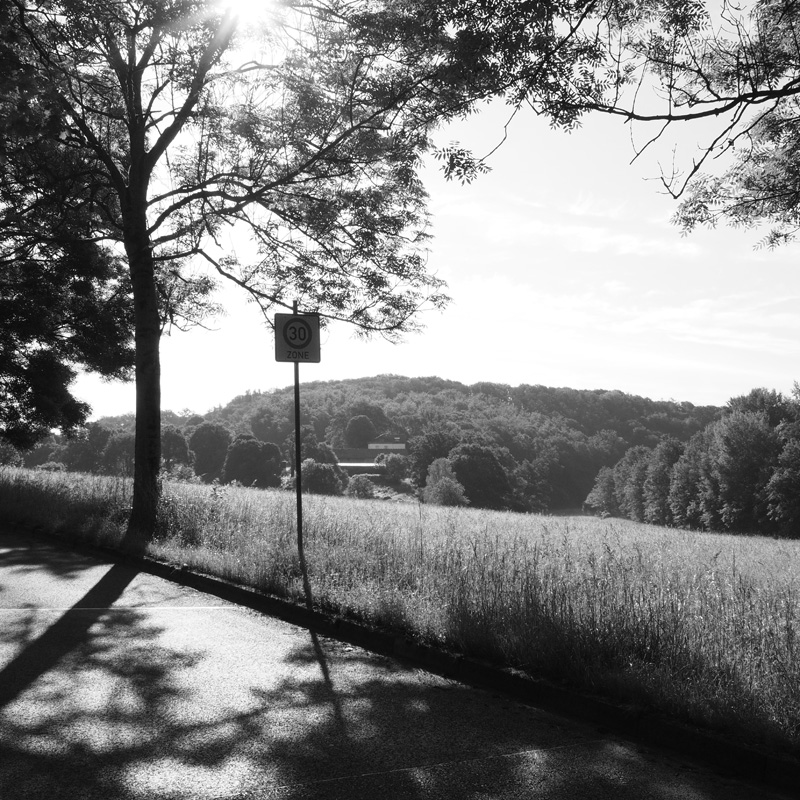 Bild: Blick auf den Kallenberg