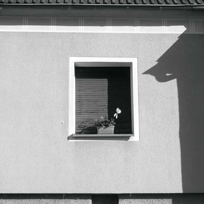 Bild: Fenster mit Blumenschmuck