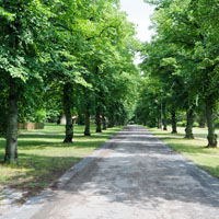 Bild: Dorfstraße, Nemitz