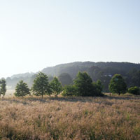 Bild: 202406080658140