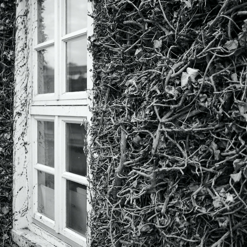 Bild: 202406132050200