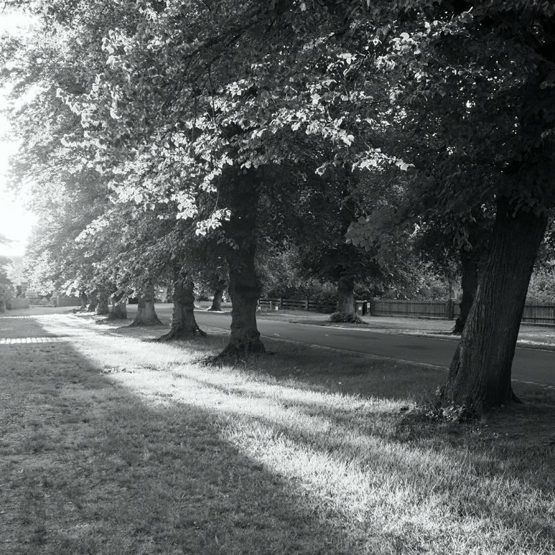 Bild: 202406152053500