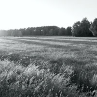 Bild: 202406152111100