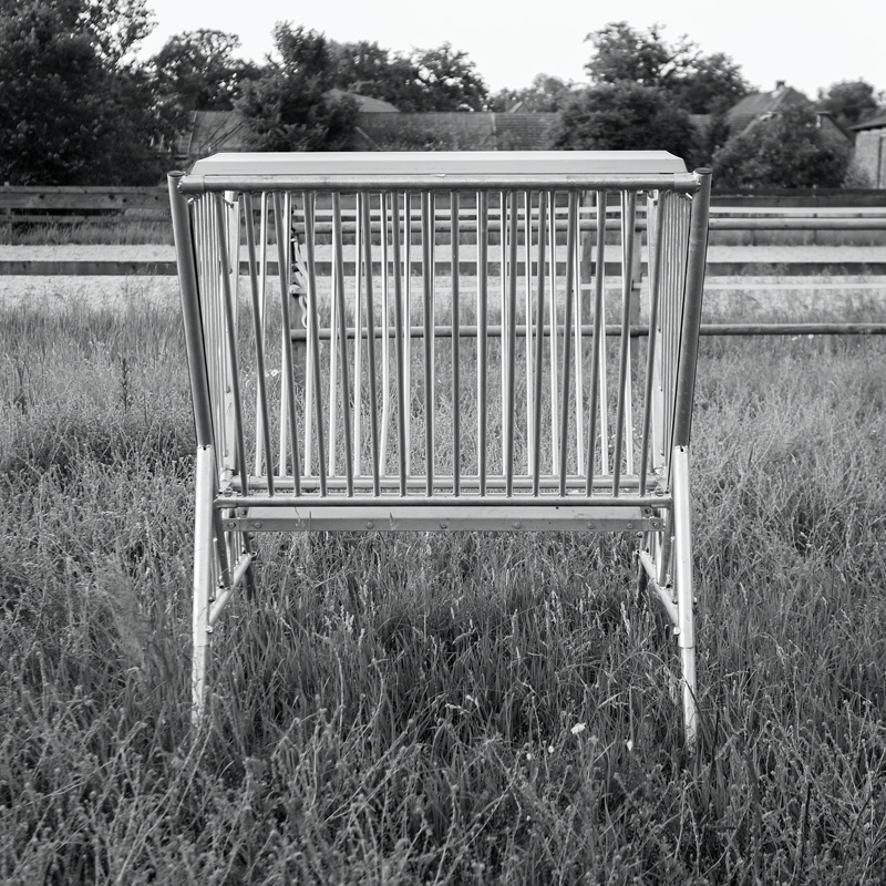 Bild: 202406152131220