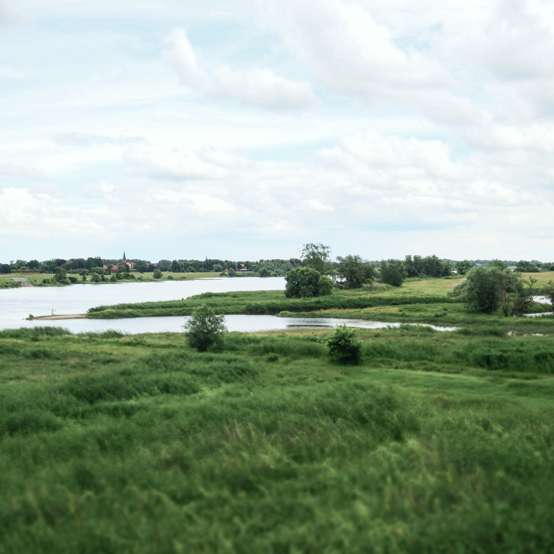 Bild: 202406161407300