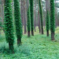 Bild: 202406211823080