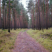 Bild: 202406211825240
