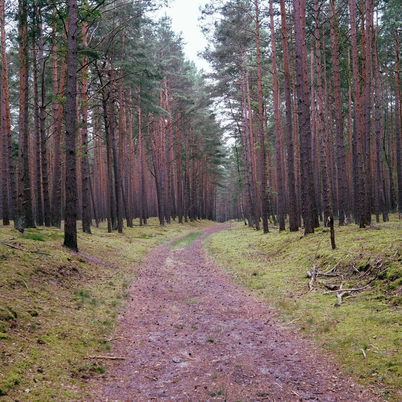 Bild: 202406211825240