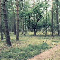Bild: 202406211835520