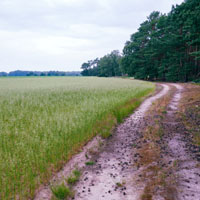 Bild: 202406211838560