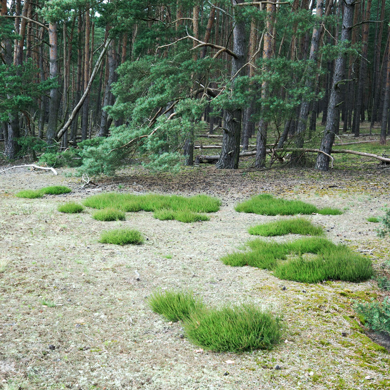 Bild: 202406211839500