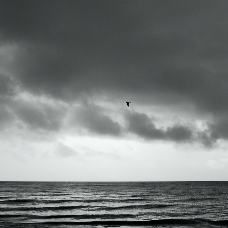 Bild: 202407022047580