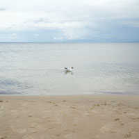 Bild: 202407041631500