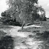 Bild: 10_202408081805380