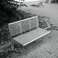 Bild: 10_202408100832300