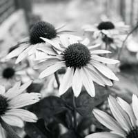 Bild: 10_202409061822380
