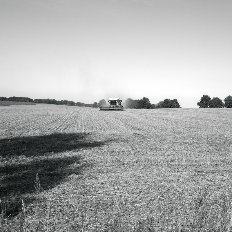 Bild: 10_202409221555160