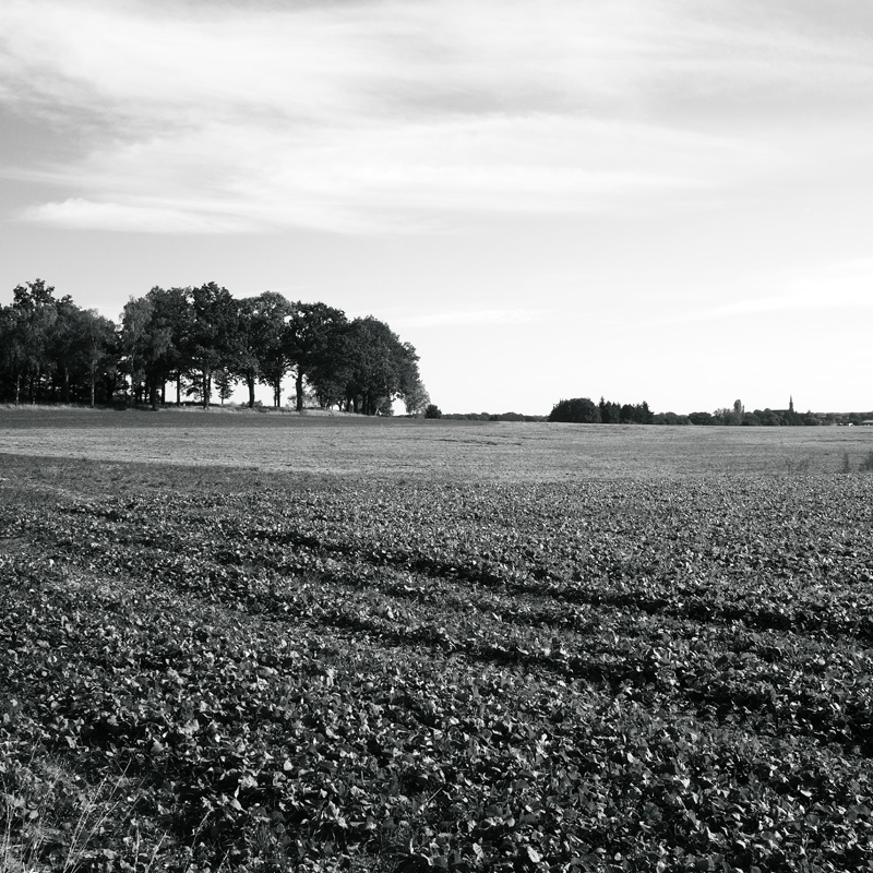Bild: 10_202409221556580