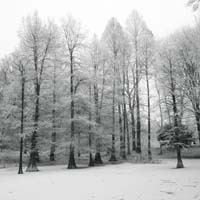 Bild: 10_202501191414180