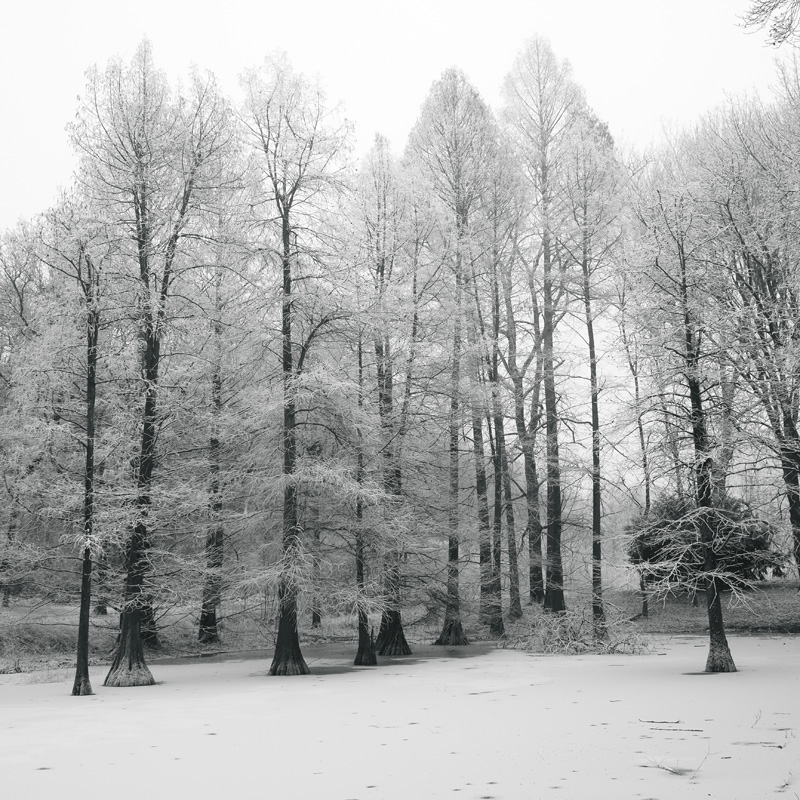 Bild: 10_202501191414180