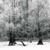 Bild: 10_202501191414440