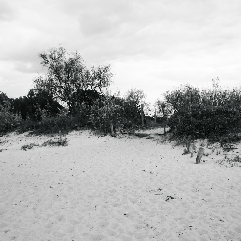 Bild: 10_202510011506300