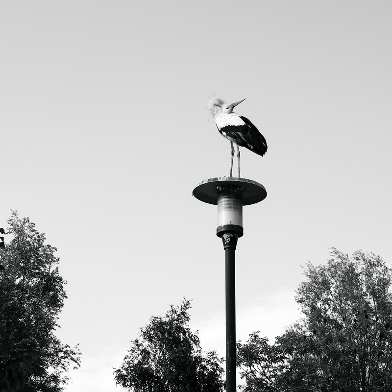 Bild: 10_202608041825130