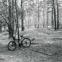 Bild: 10_202610161543030