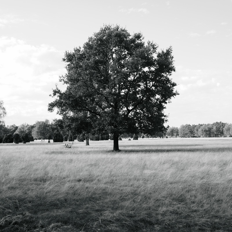 Bild: 10_202610161552480