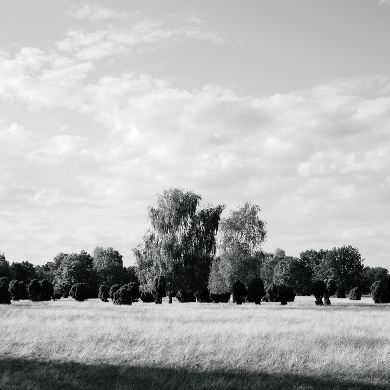 Bild: 10_202610161553120